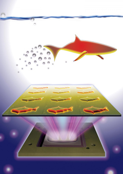 Univ. of California, San Diego: 3D Printed Microfish