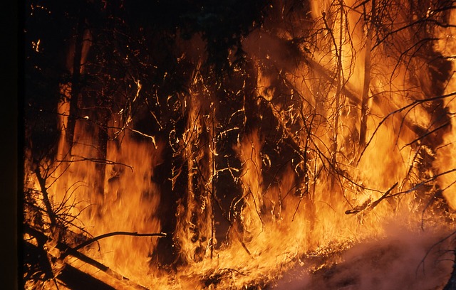 wildfire-1138193_640