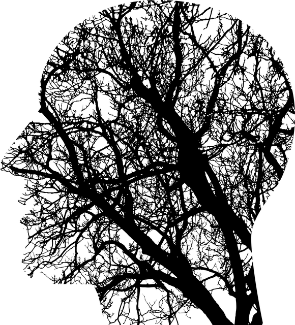 brains_640