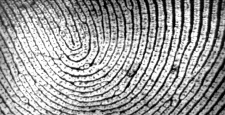 fingerprint technology